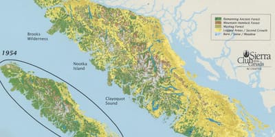 Rainforest vancouver island kartta